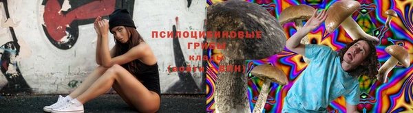 бошки Аркадак